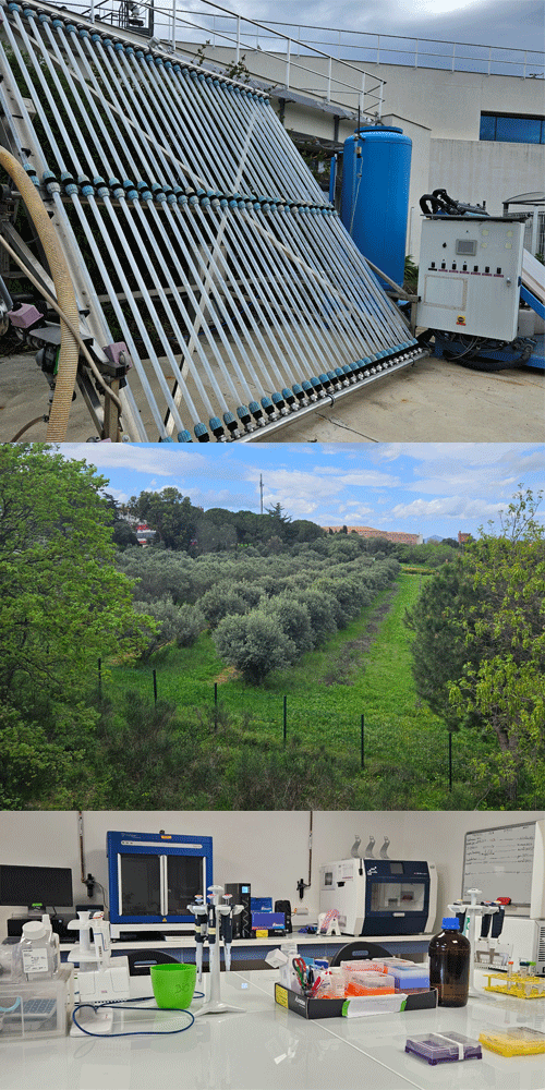 Visite Agropolis