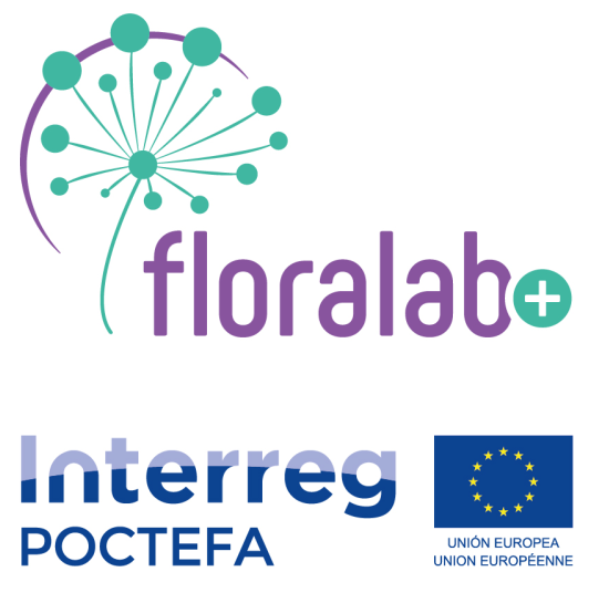 Logo projet